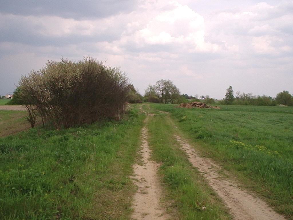 Zamek Bierzgłowski-Pigża