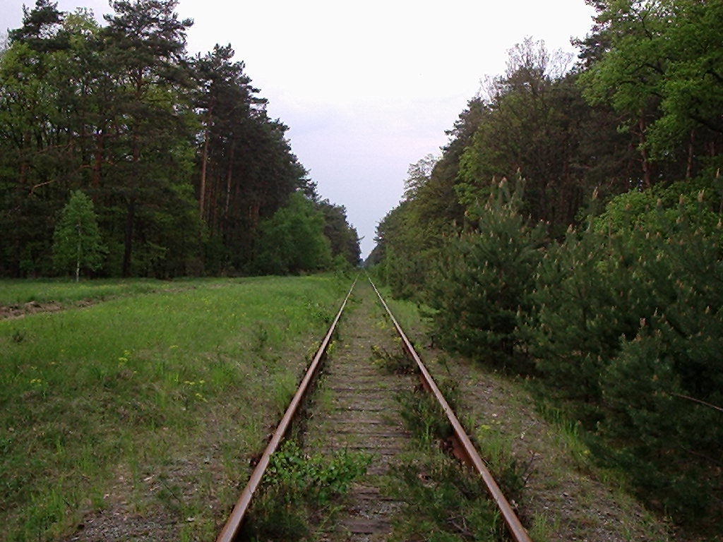 Toruń Barbarka