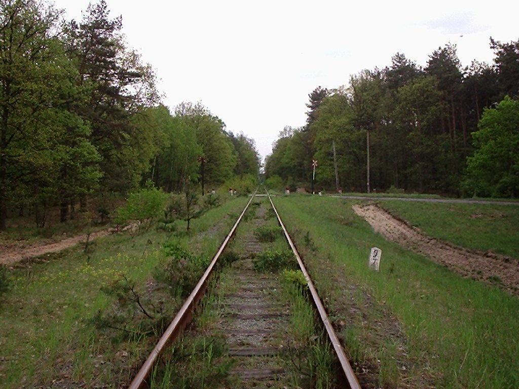 Toruń Barbarka