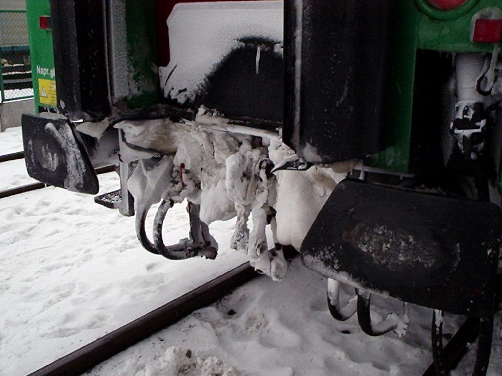 Šeštokai, 18.02.2006