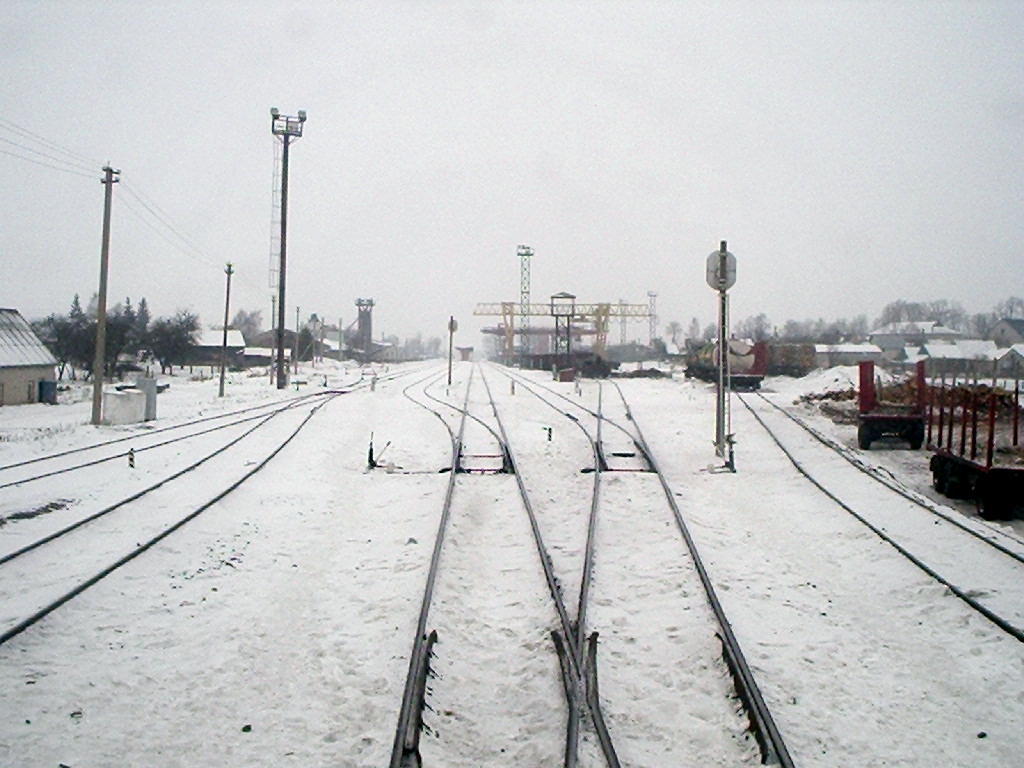 Šeštokai, 18.02.2006