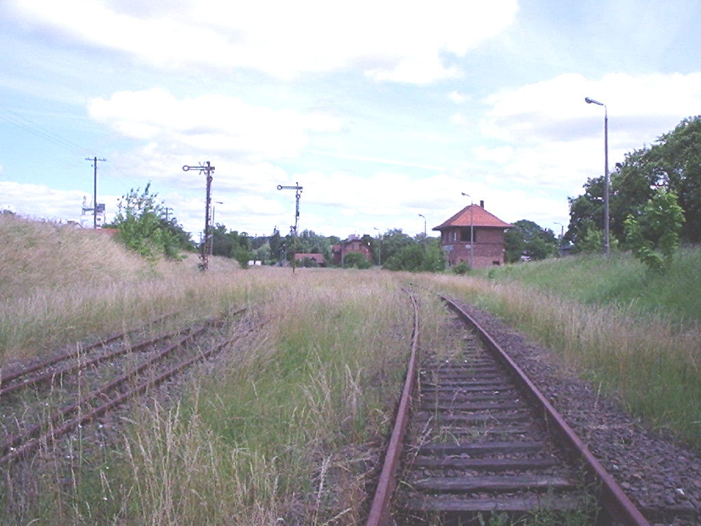 Golub Dobrzyń