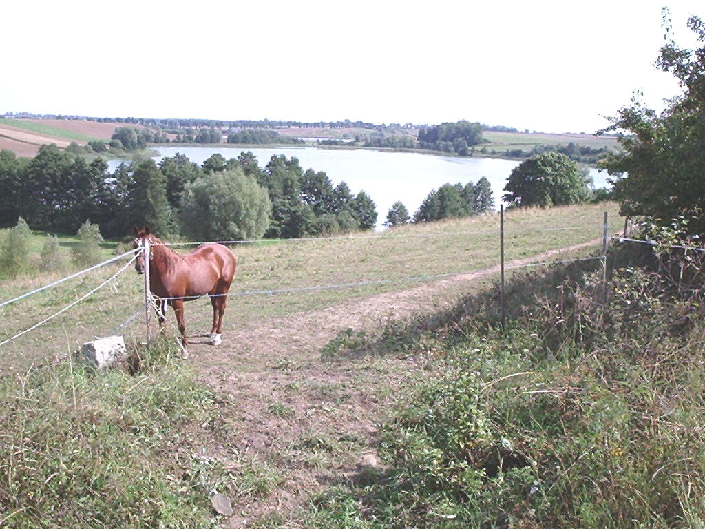 Szarnoś - Widlice