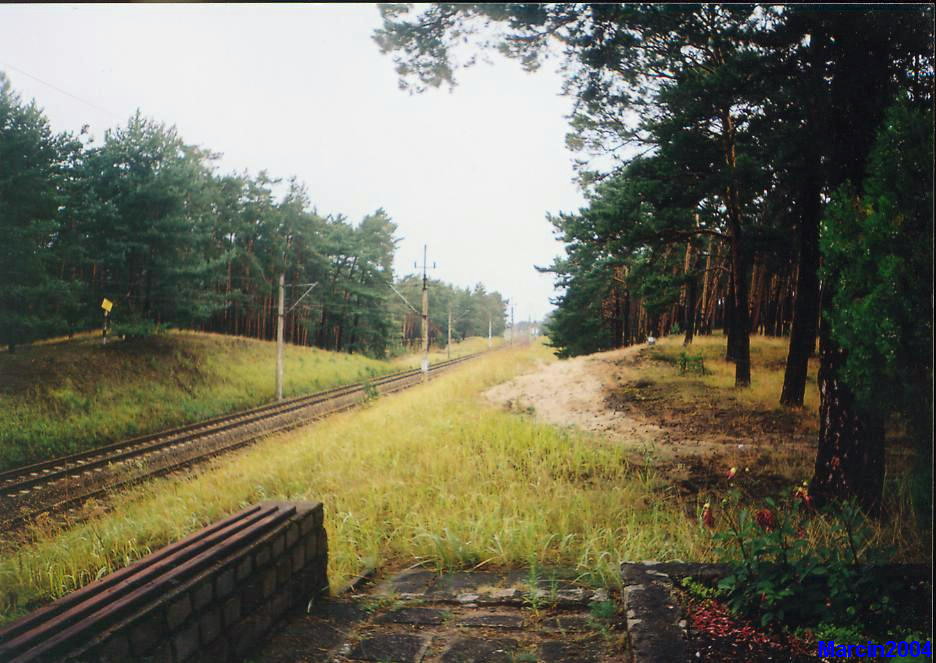 Otłoczyn - Brzoza Toruńska