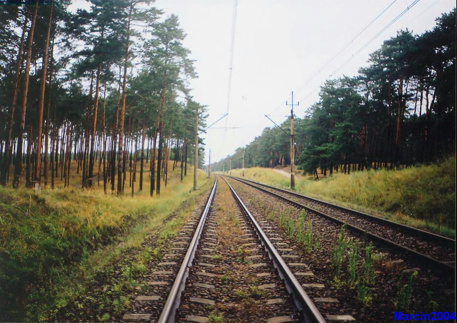 Otłoczyn - Brzoza Toruńska