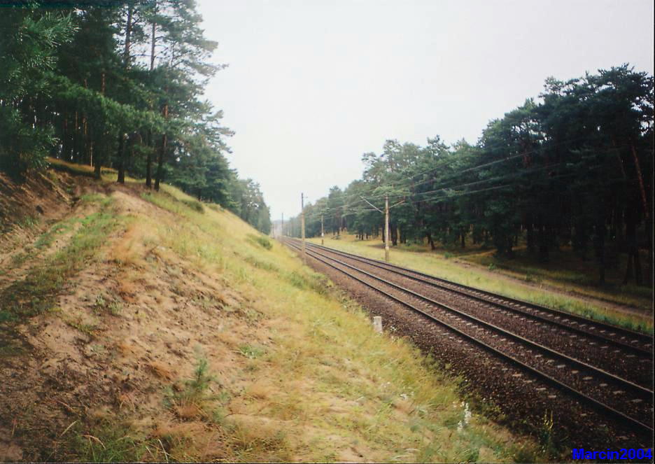 Otłoczyn - Brzoza Toruńska