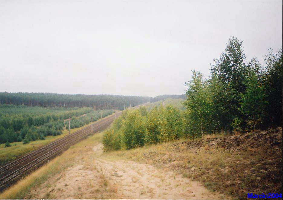 Otłoczyn - Brzoza Toruńska