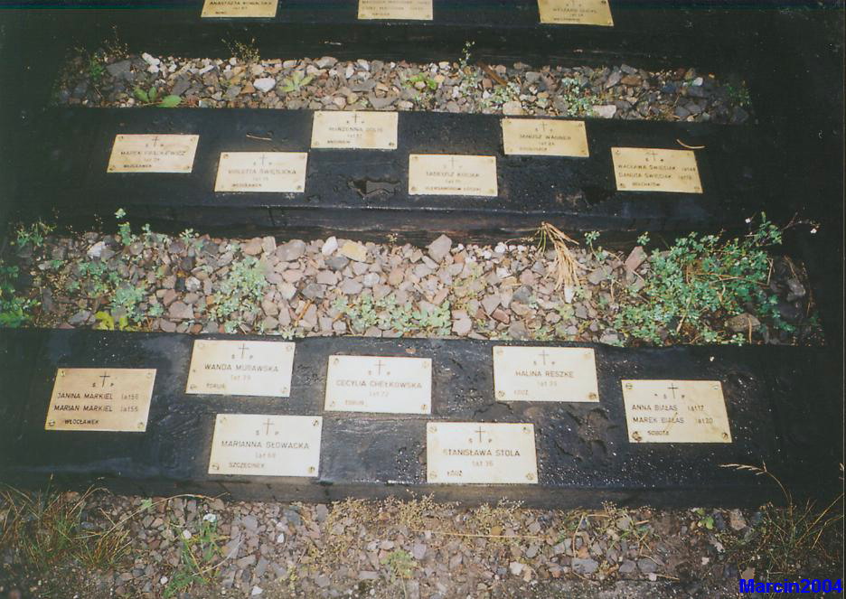 Otłoczyn - Brzoza Toruńska
