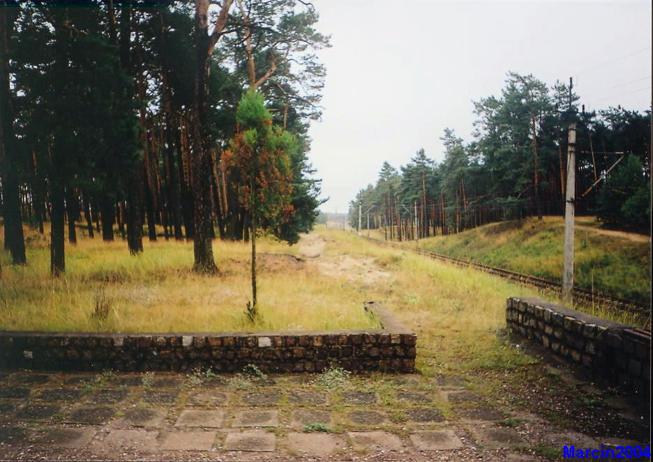 Otłoczyn - Brzoza Toruńska