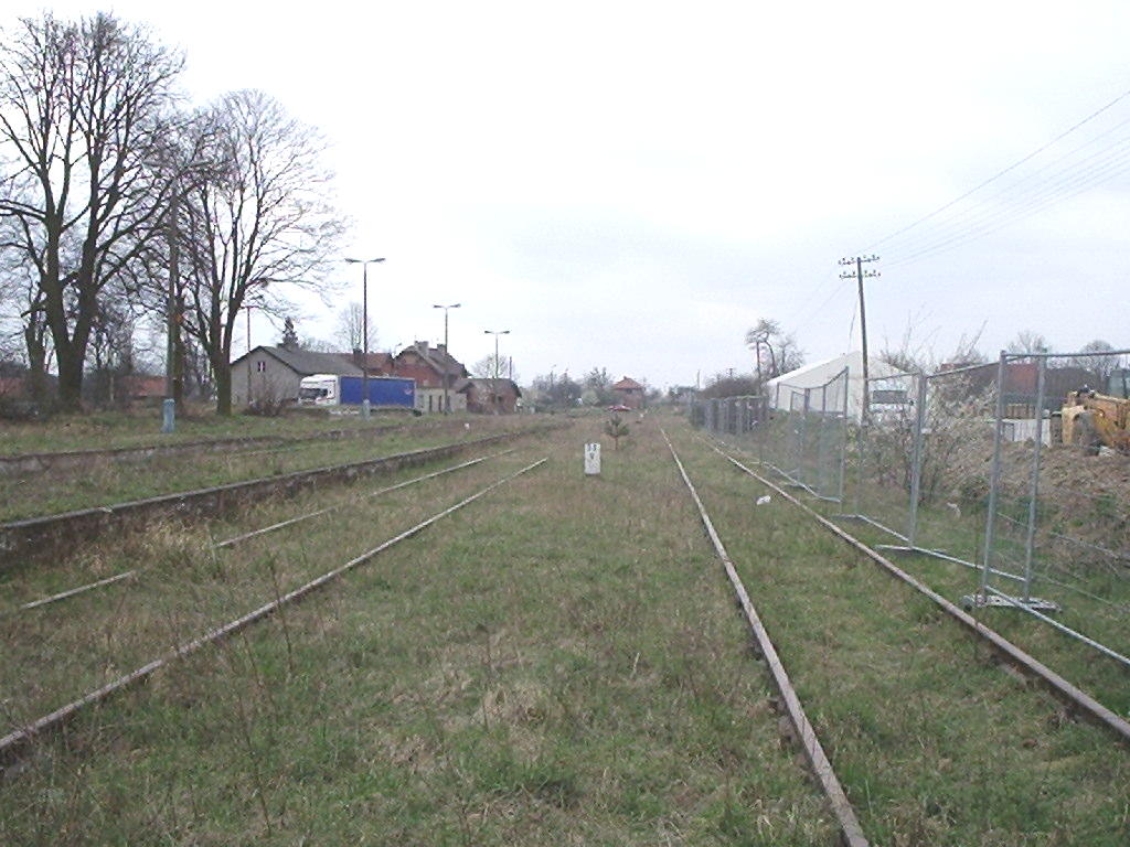 Golub Dobrzyń